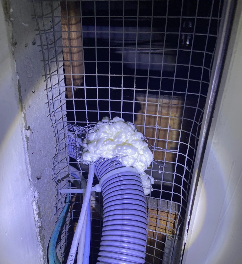 服務實績-鼠害防治案例